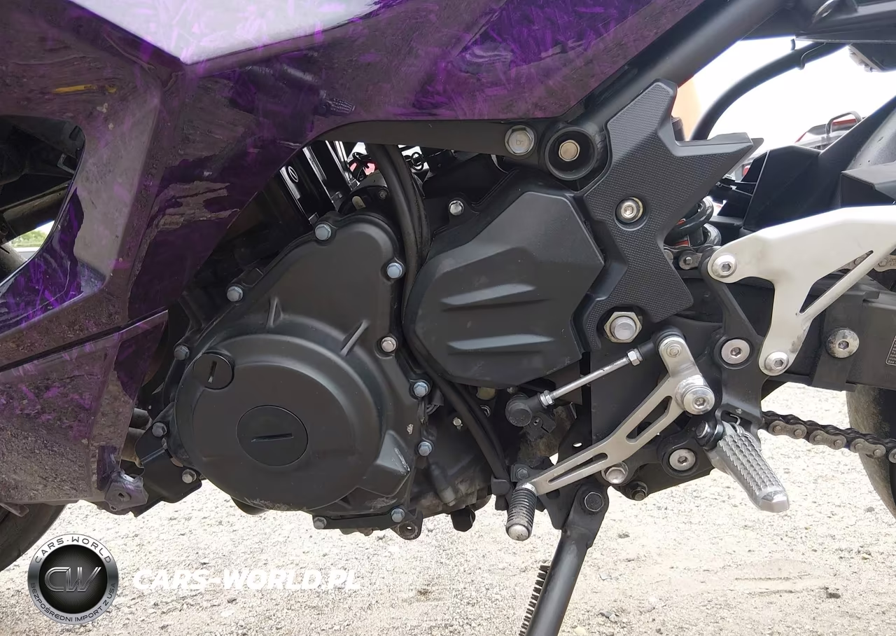 2024 Kawasaki Ex500 VIN:ML5EXGG16RDA29126 - 9