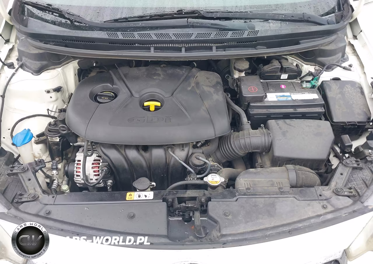2015 Kia Forte Ex VIN:KNAFX4A81F5263186 - 10