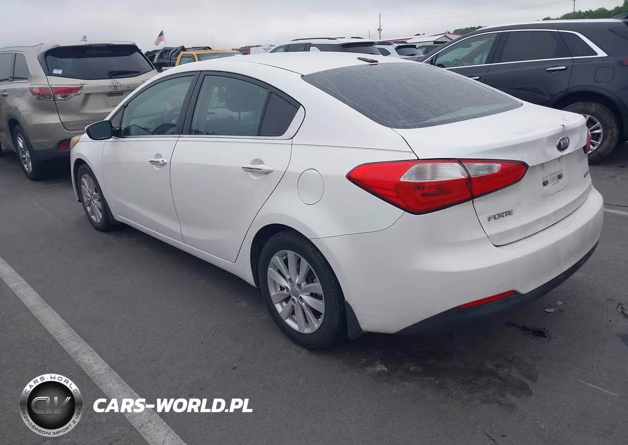 2015 Kia Forte Ex VIN:KNAFX4A81F5263186 - 3