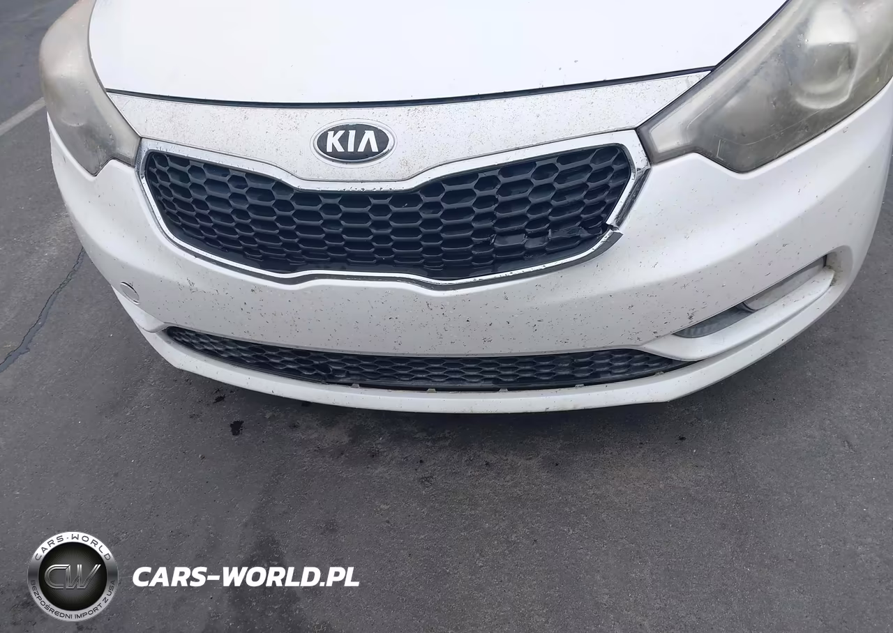 2015 Kia Forte Ex VIN:KNAFX4A81F5263186 - 6