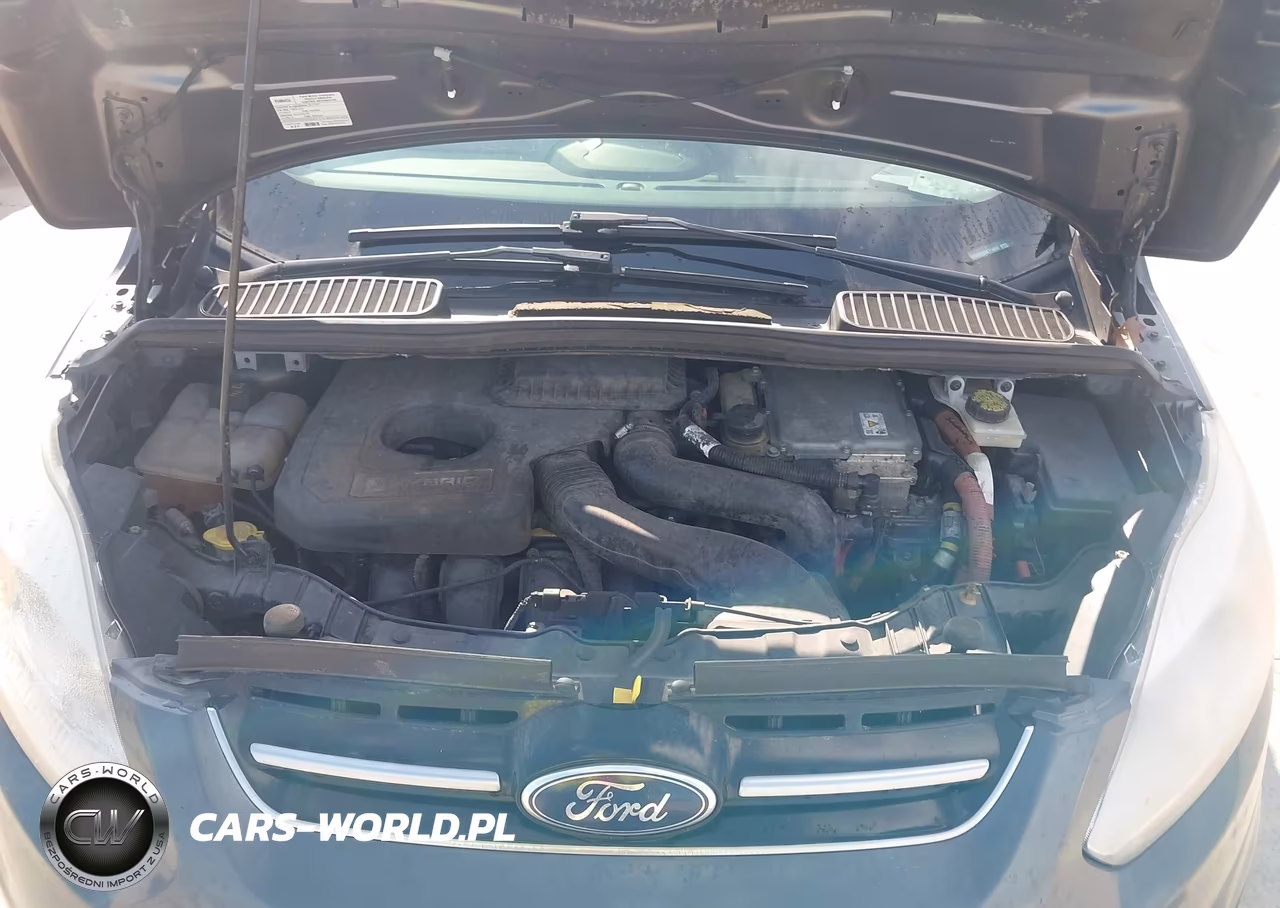 2017 Ford C-Max Hybrid Se VIN:1FADP5AU5HL114684 - 10