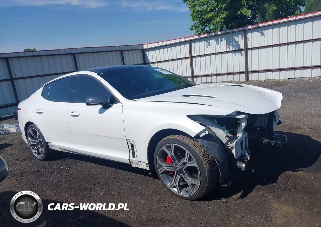 2018 Kia Stinger Gt2 VIN:KNAE55LC5J6027667 - 14