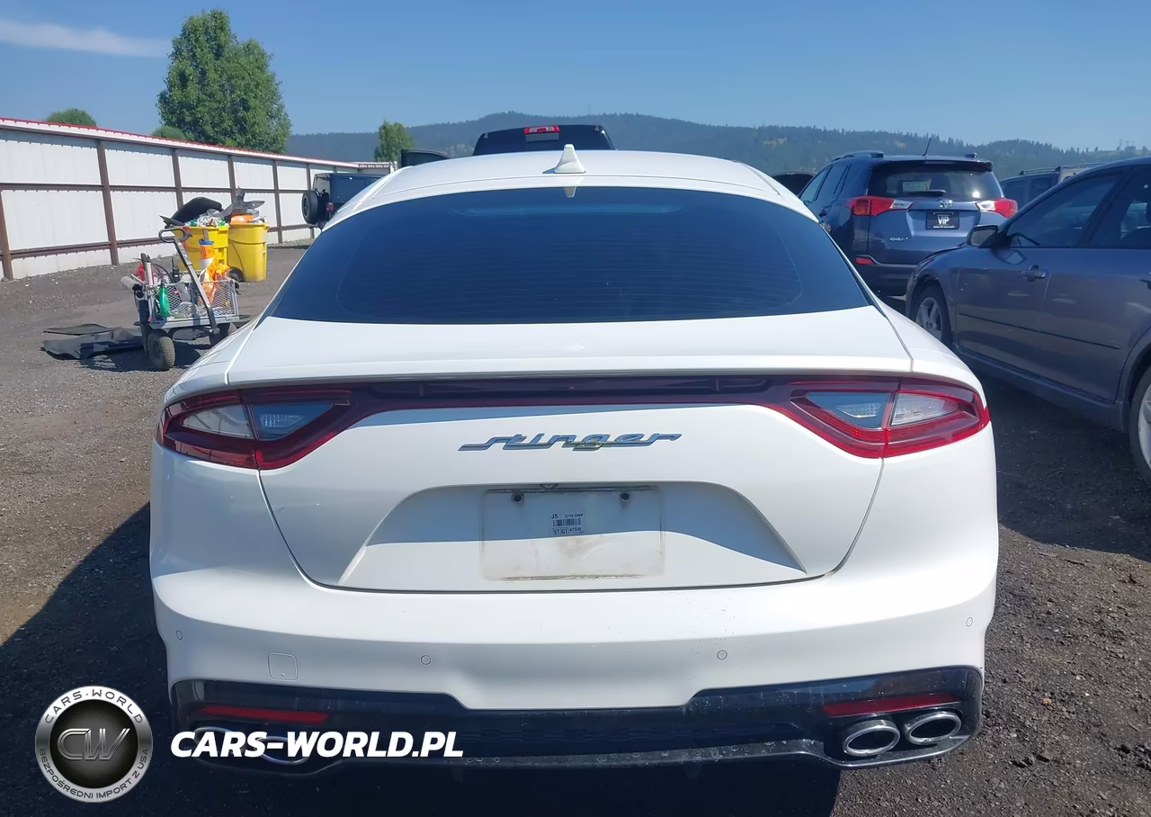 2018 Kia Stinger Gt2 VIN:KNAE55LC5J6027667 - 17