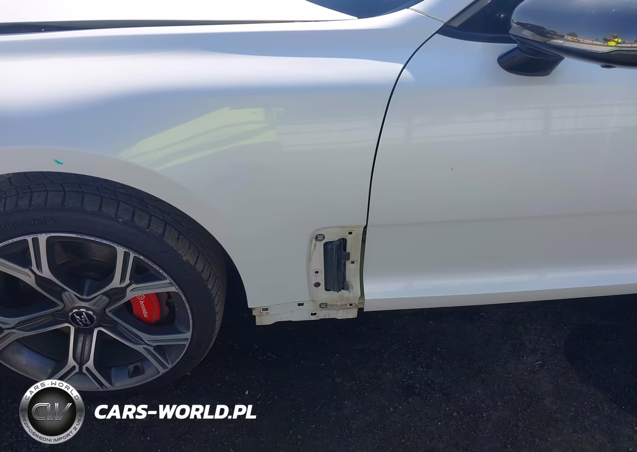 2018 Kia Stinger Gt2 VIN:KNAE55LC5J6027667 - 19