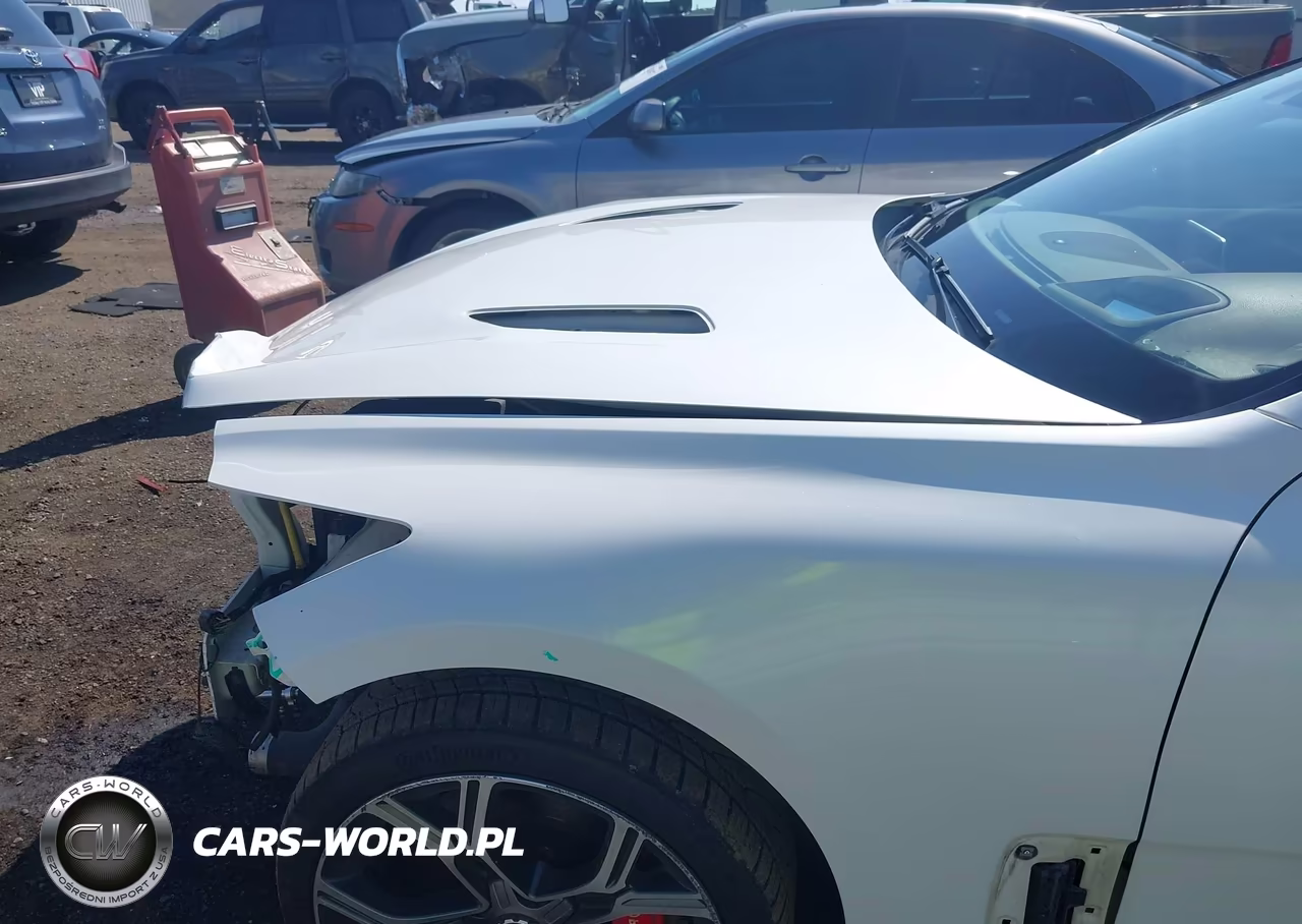 2018 Kia Stinger Gt2 VIN:KNAE55LC5J6027667 - 20