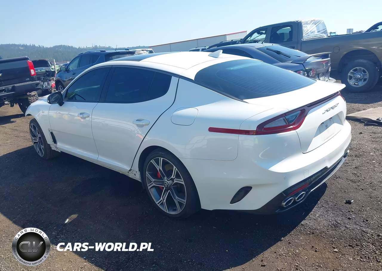 2018 Kia Stinger Gt2 VIN:KNAE55LC5J6027667 - 3