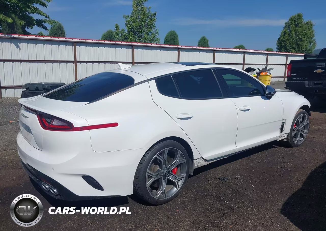 2018 Kia Stinger Gt2 VIN:KNAE55LC5J6027667 - 4