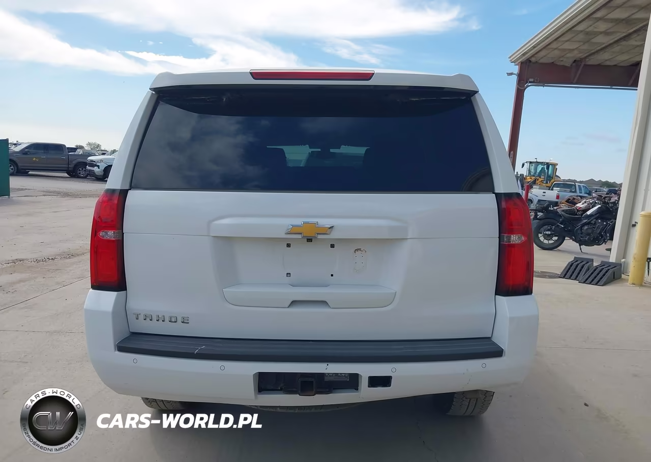 2020 Chevrolet Tahoe 4Wd Commercial Fleet VIN:1GNSKEEC1LR210133 - 19