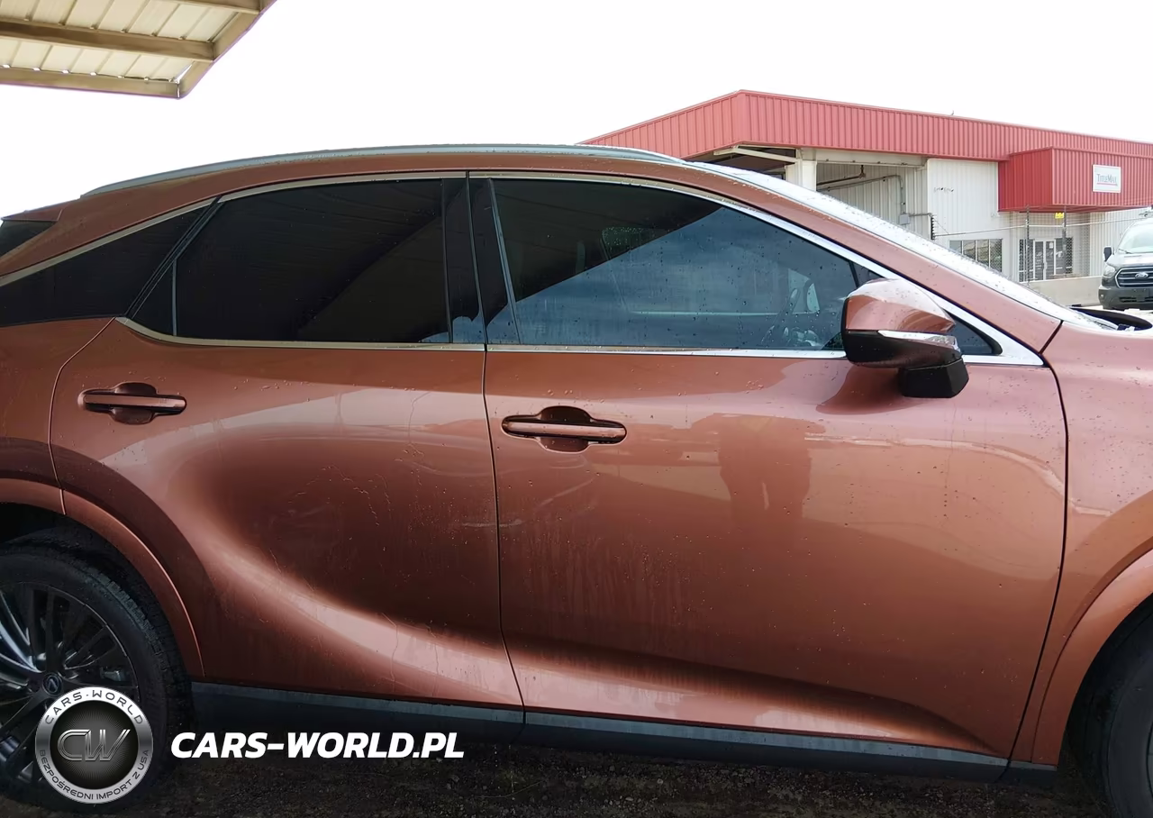 2023 Lexus Rx 350 Luxury VIN:2T2BAMBAXPC004135 - 13