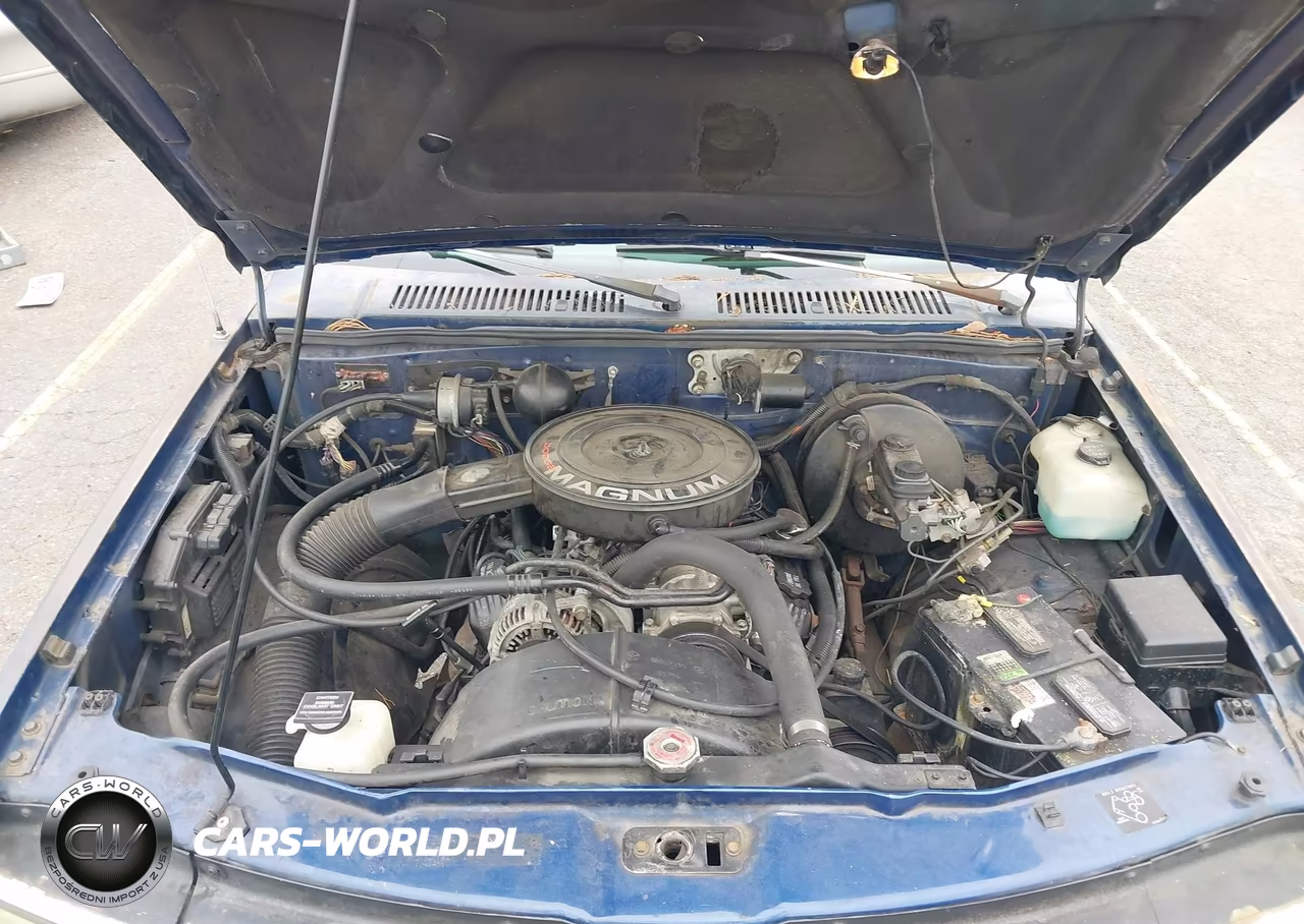1993 Dodge Dakota VIN:1B7GG23X0PS161042 - 10