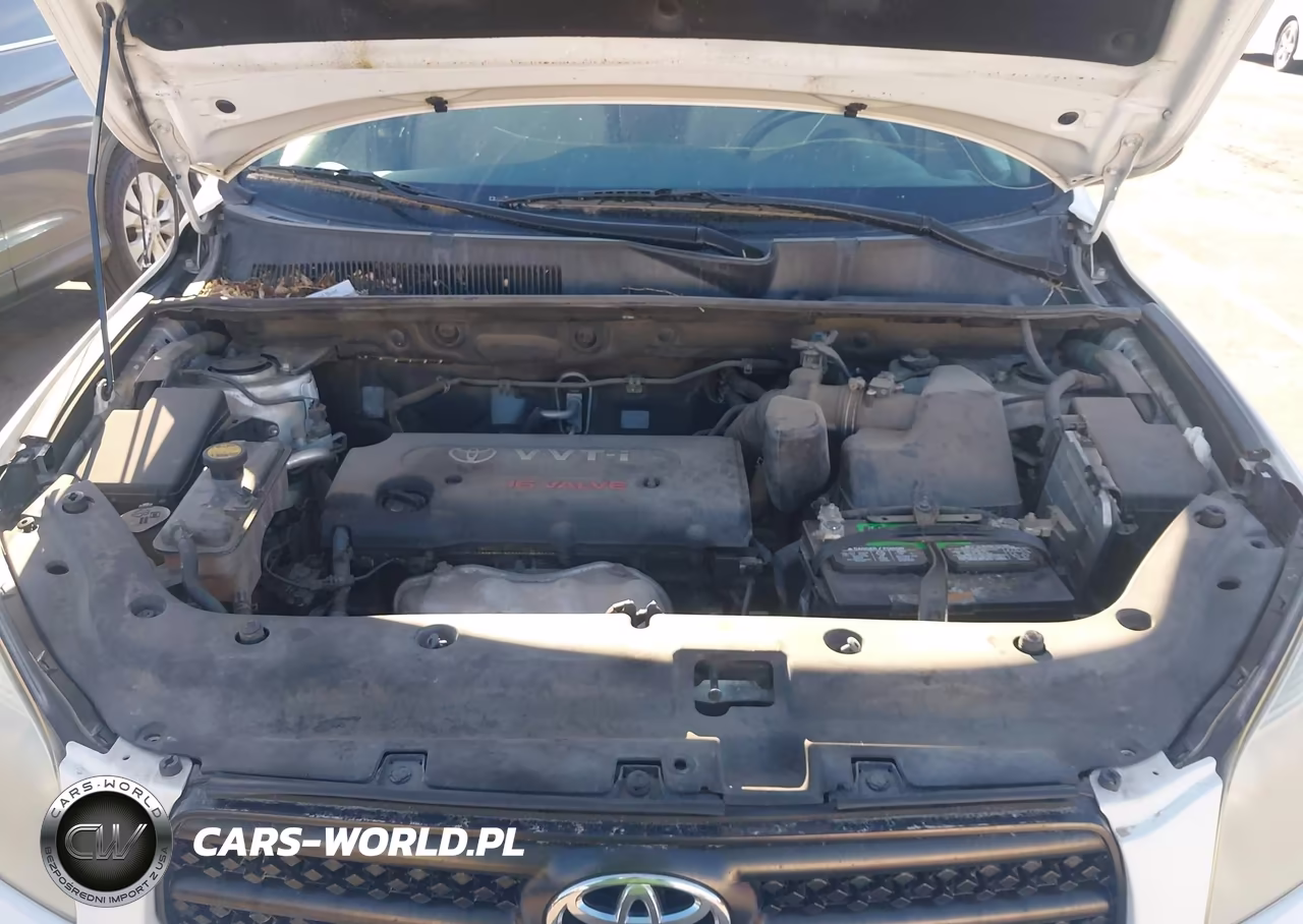 2008 Toyota Rav4 VIN:JTMBD33V185209896 - 10