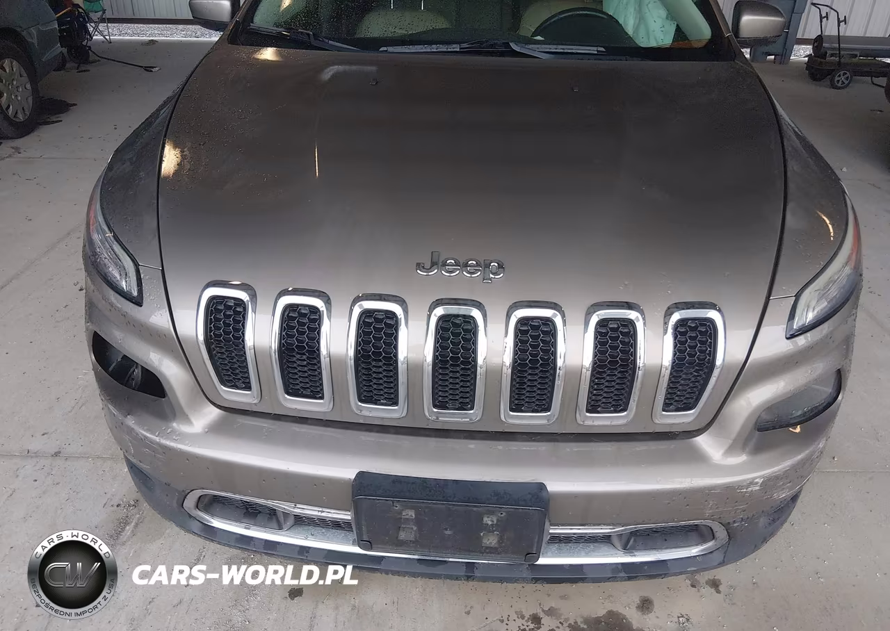 2016 Jeep Cherokee Limited VIN:1C4PJMDB2GW335816 - 10