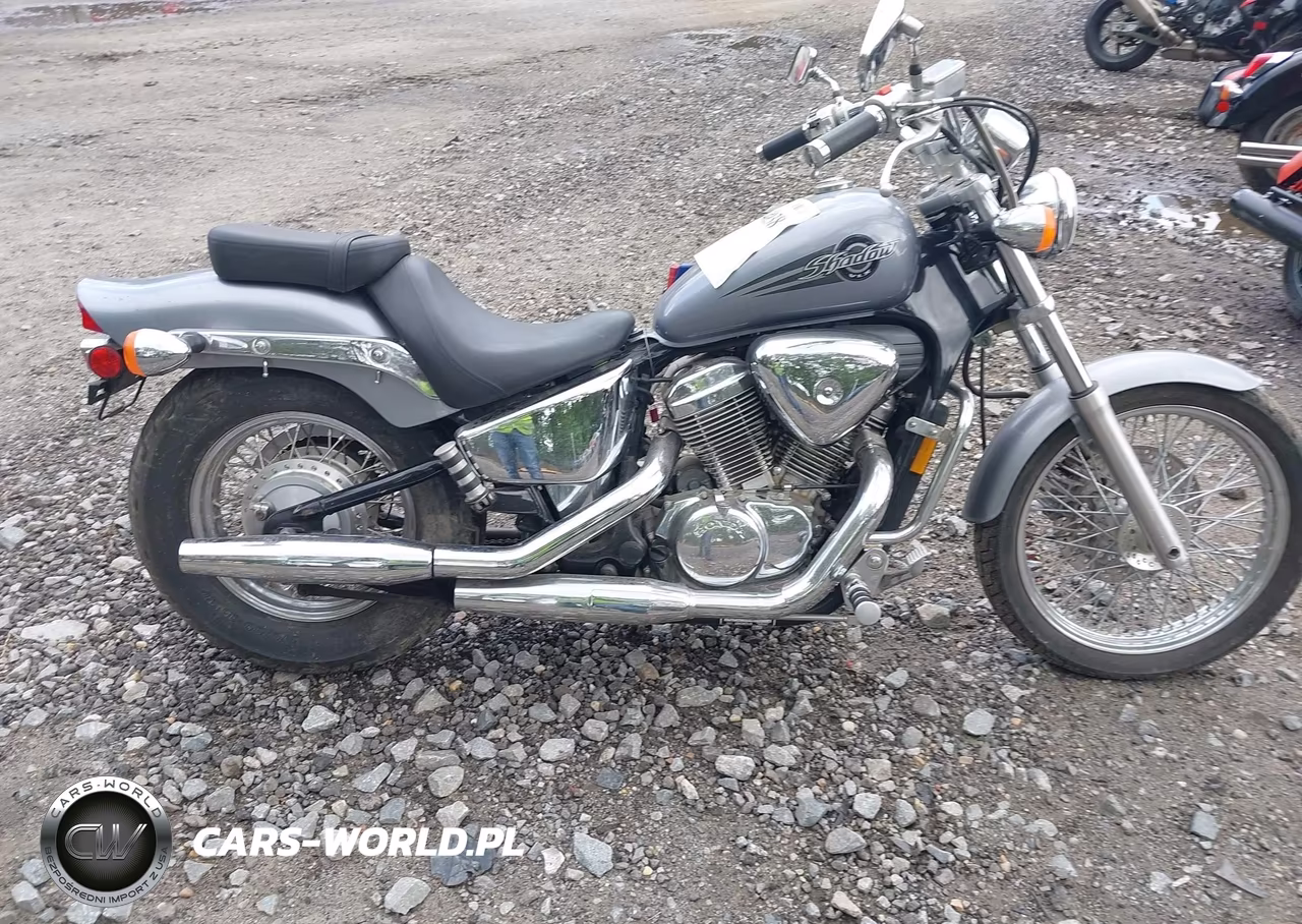 2004 Honda Vt600 Cd VIN:JH2PC21364M502172 - 12