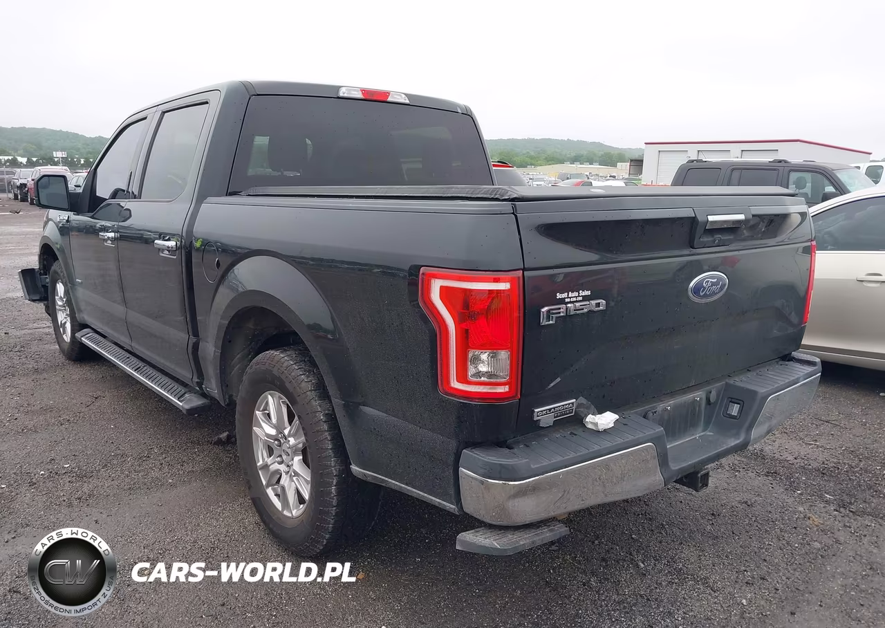 2016 Ford F-150 Xlt VIN:1FTEW1CP5GKF17456 - 3