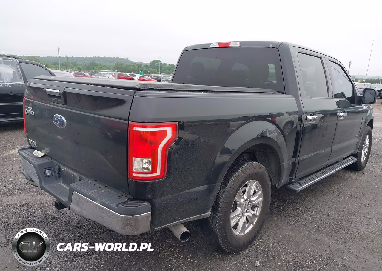 2016 Ford F-150 Xlt VIN:1FTEW1CP5GKF17456 - 4