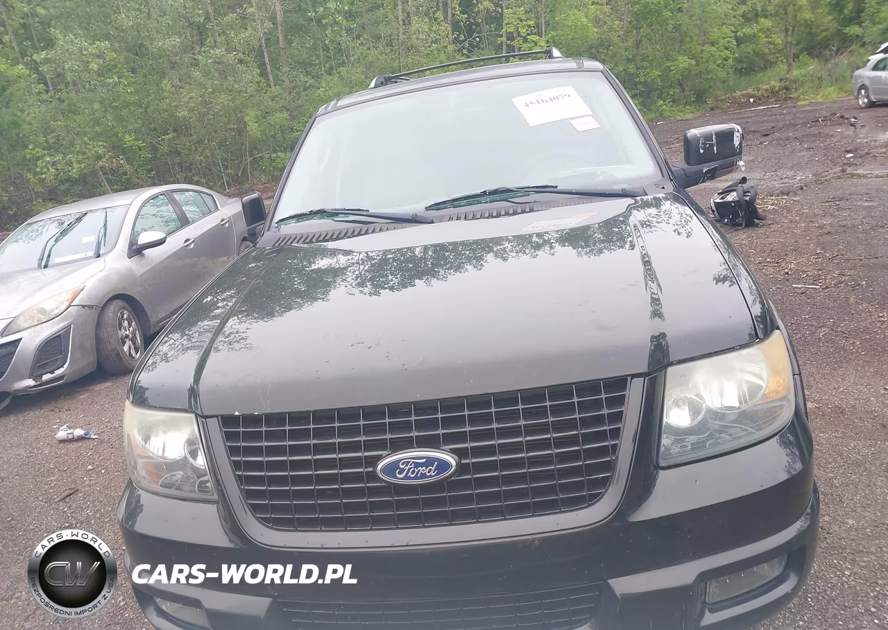 2006 Ford Expedition Limited VIN:1FMFU20516LA83799 - 12