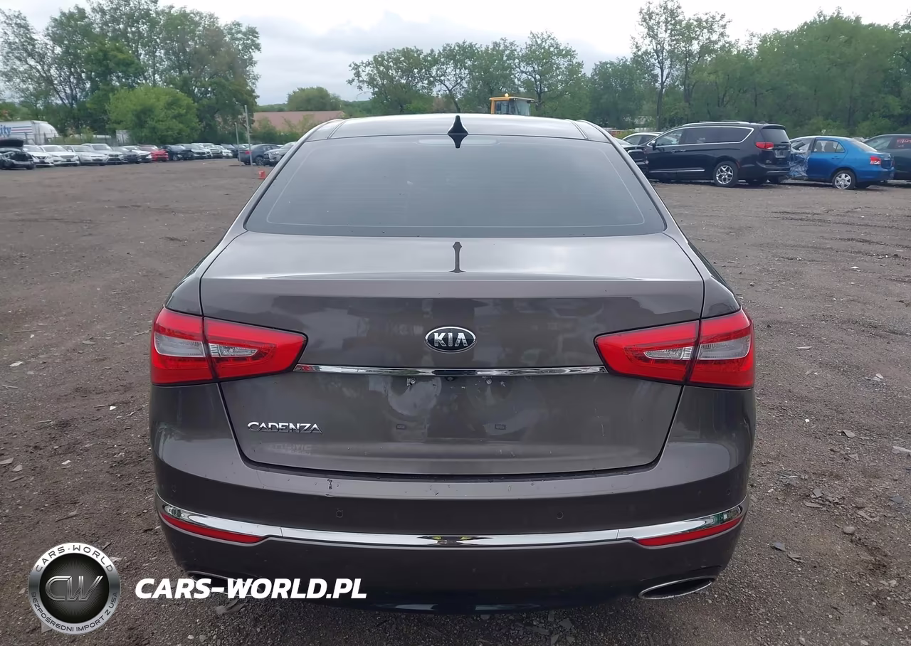 2014 KIA CADENZA PR VIN:KNALN4D74E5166123 - 17