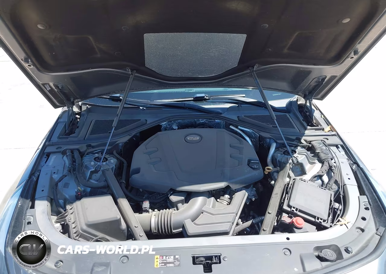 2019 Cadillac Ct6 Luxury VIN:1G6KB5RS3KU140739 - 10