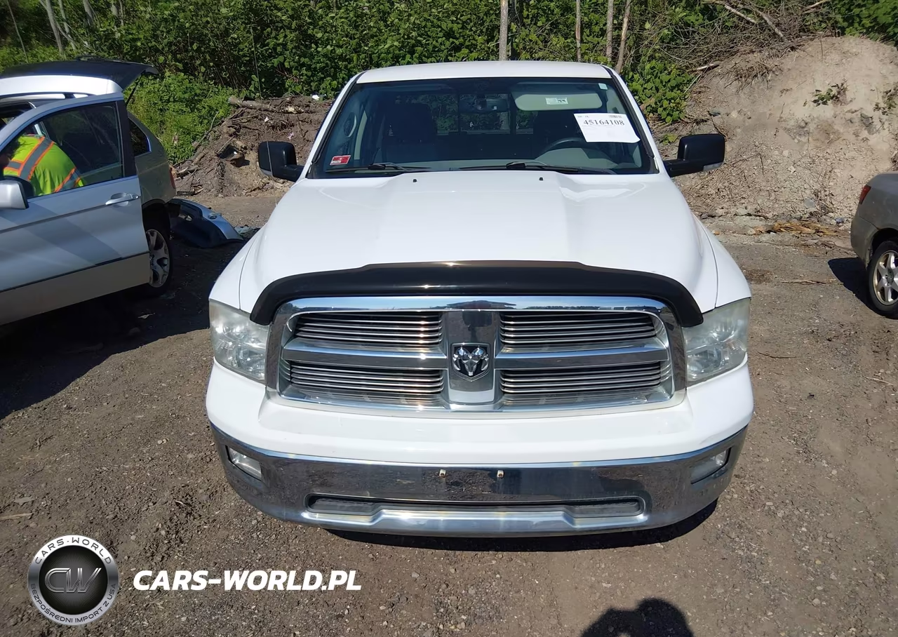 2010 Dodge Ram 1500 Slt-Sport-Trx VIN:1D7RV1GT0AS110296 - 12