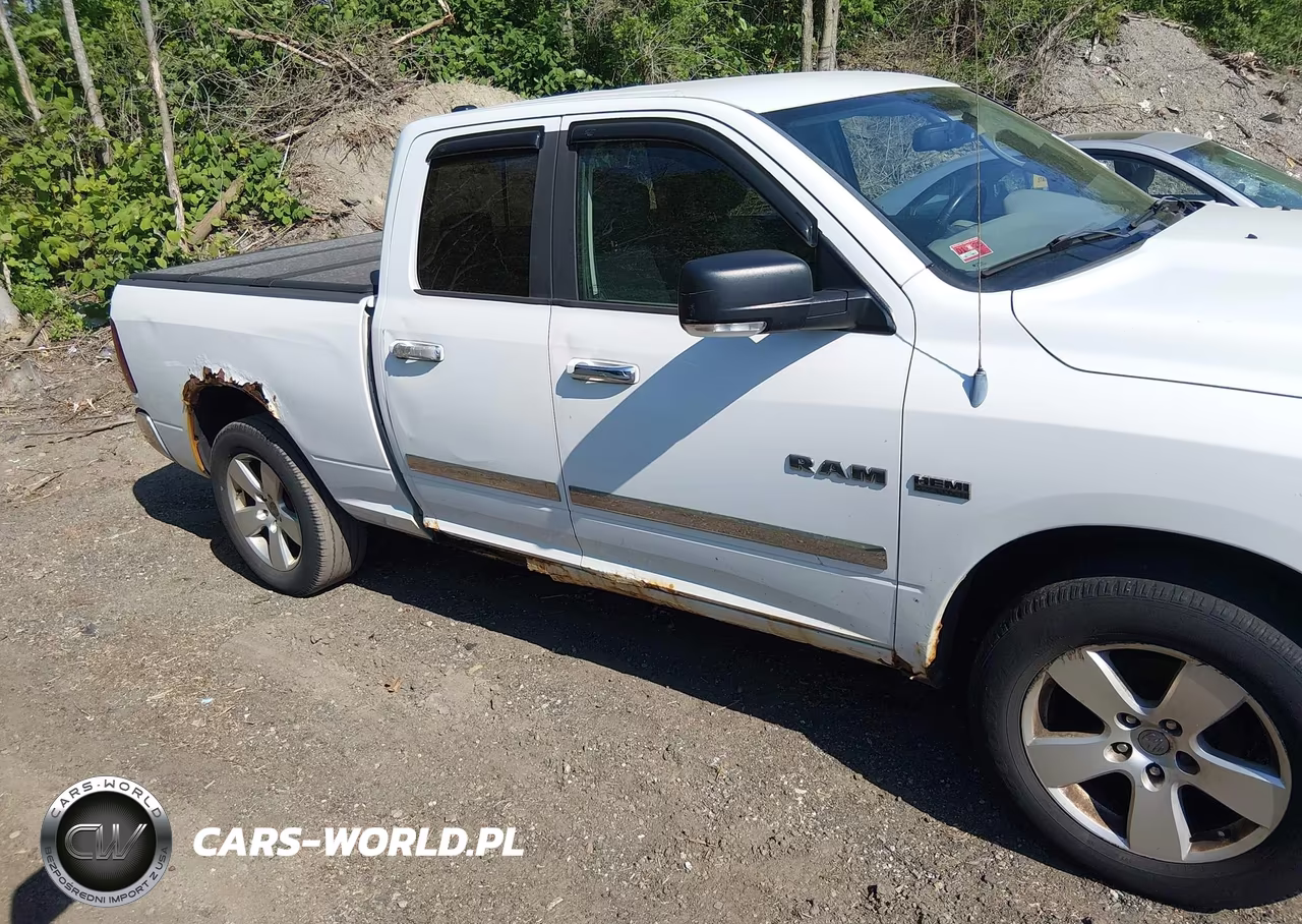 2010 Dodge Ram 1500 Slt-Sport-Trx VIN:1D7RV1GT0AS110296 - 13