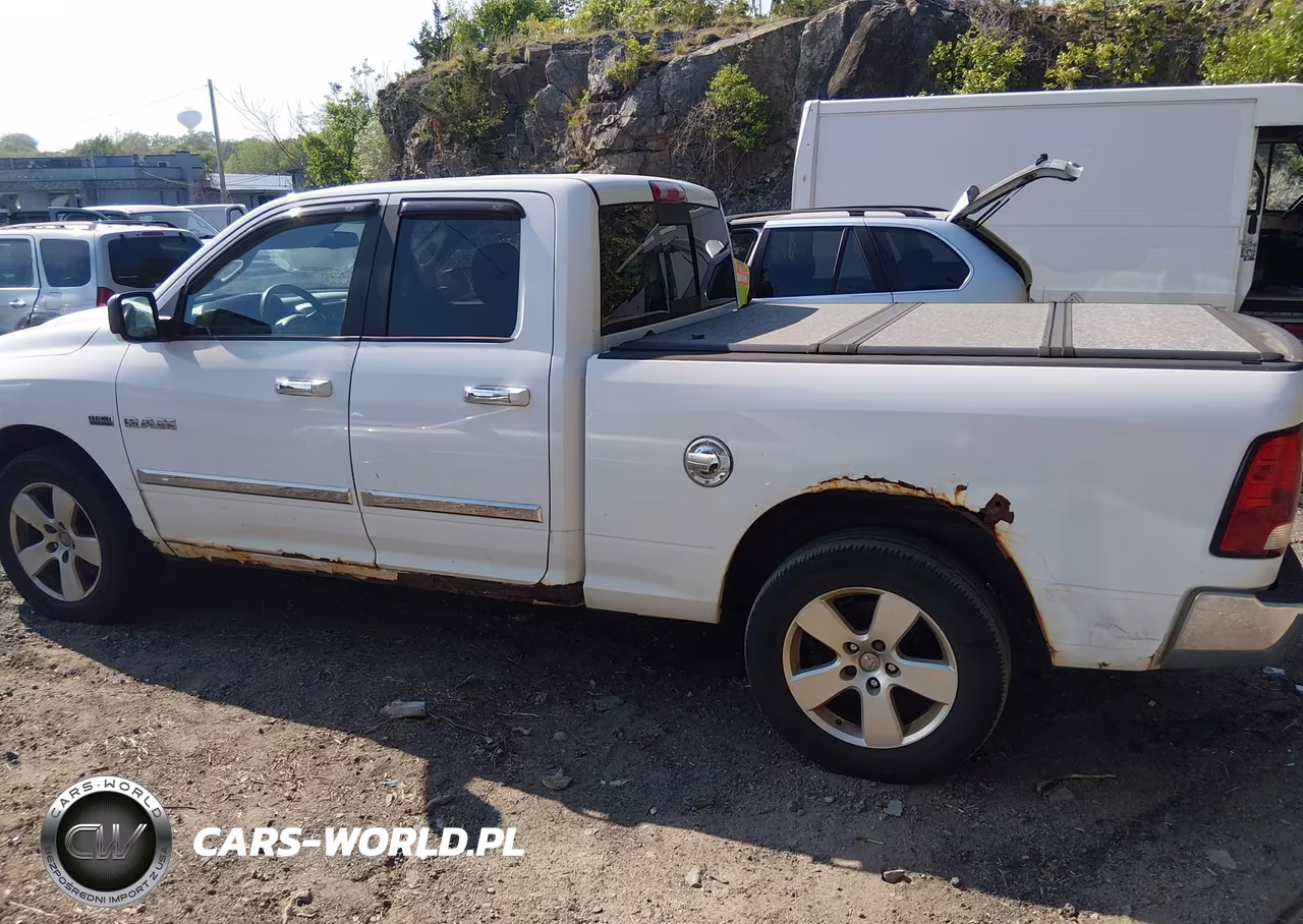 2010 Dodge Ram 1500 Slt-Sport-Trx VIN:1D7RV1GT0AS110296 - 14