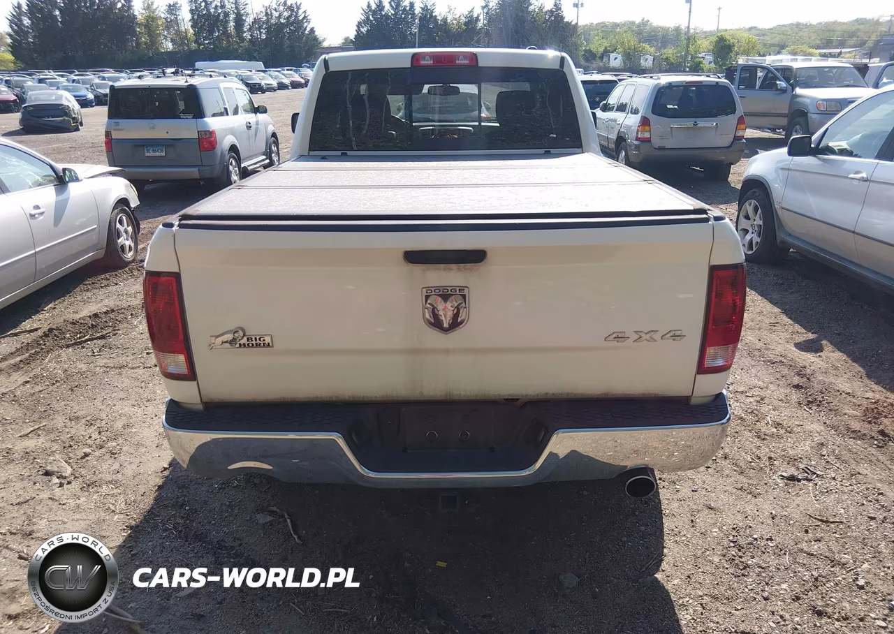 2010 Dodge Ram 1500 Slt-Sport-Trx VIN:1D7RV1GT0AS110296 - 16