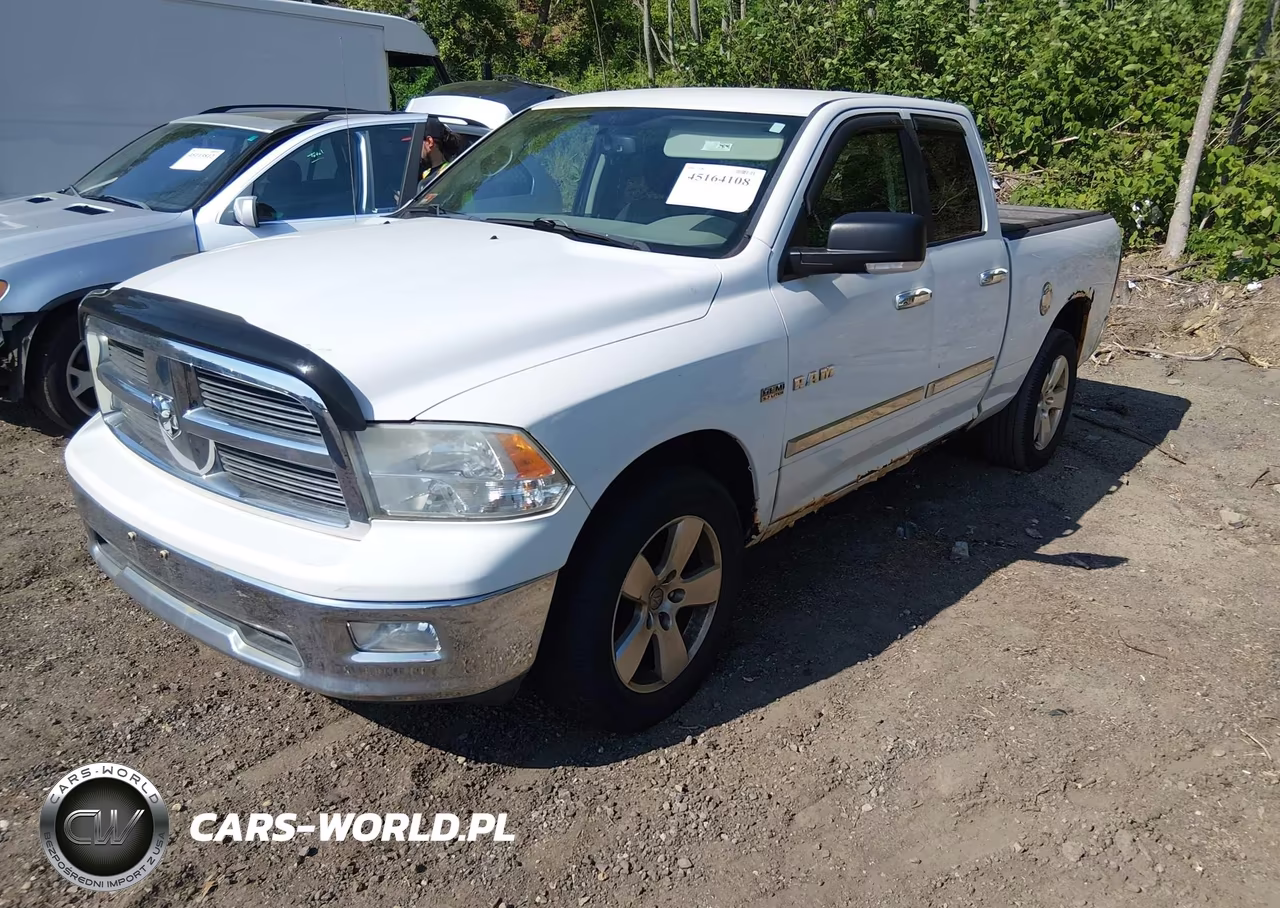 2010 Dodge Ram 1500 Slt-Sport-Trx VIN:1D7RV1GT0AS110296 - 2