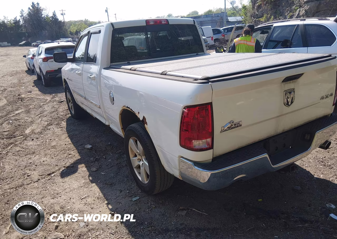 2010 Dodge Ram 1500 Slt-Sport-Trx VIN:1D7RV1GT0AS110296 - 3