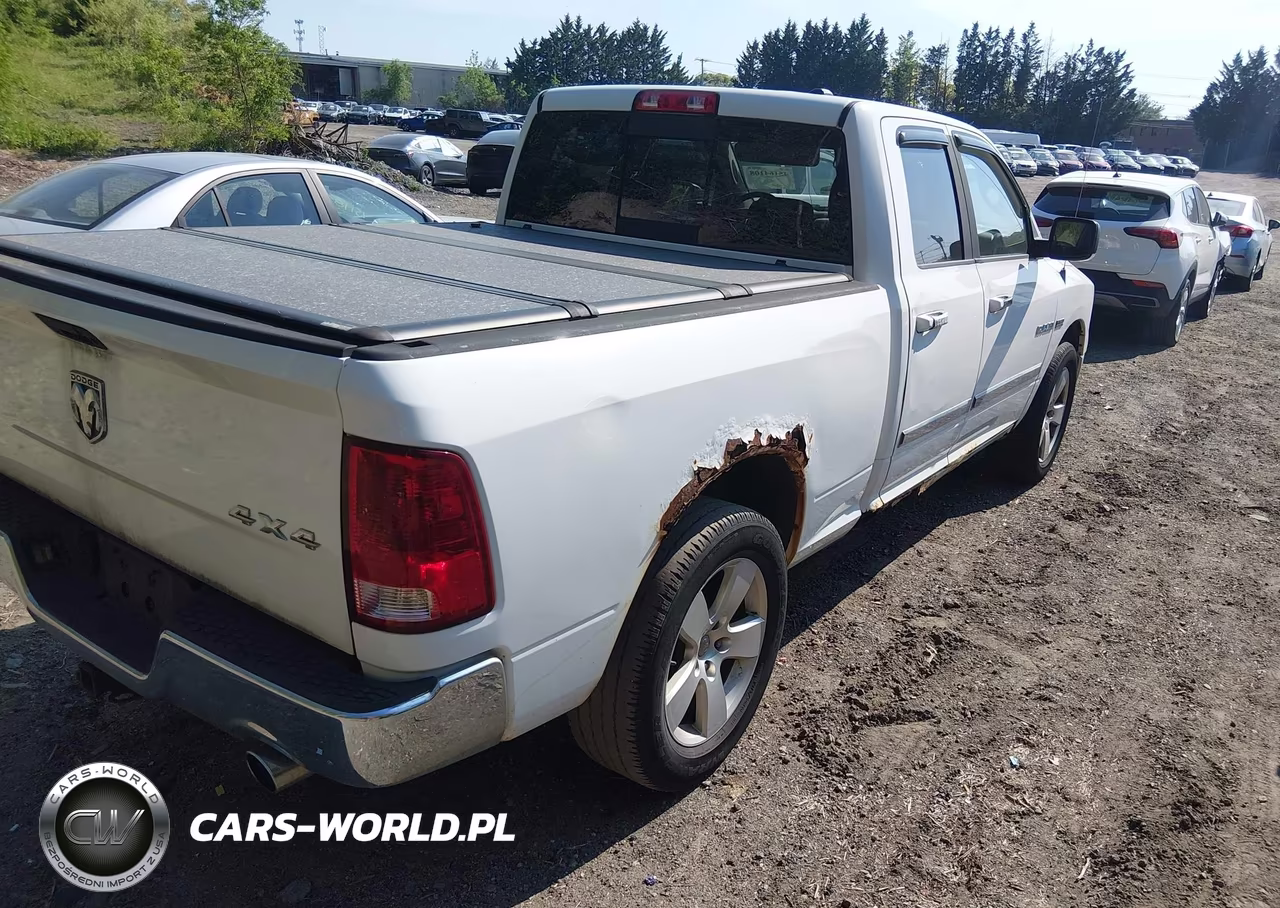 2010 Dodge Ram 1500 Slt-Sport-Trx VIN:1D7RV1GT0AS110296 - 4