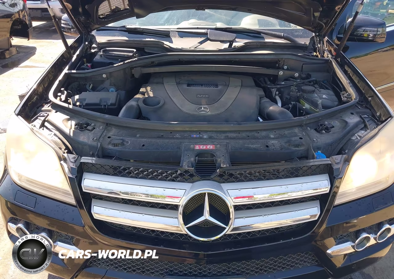 2011 Mercedes-Benz Gl 450 4Matic VIN:4JGBF7BEXBA645093 - 10