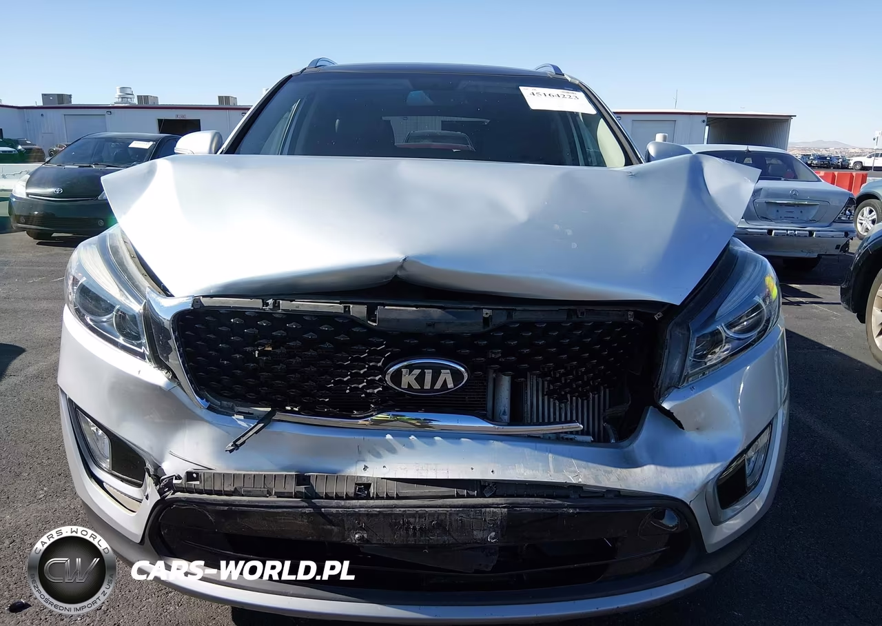 2016 Kia Sorento 2.0T Ex VIN:5XYPH4A12GG056578 - 12