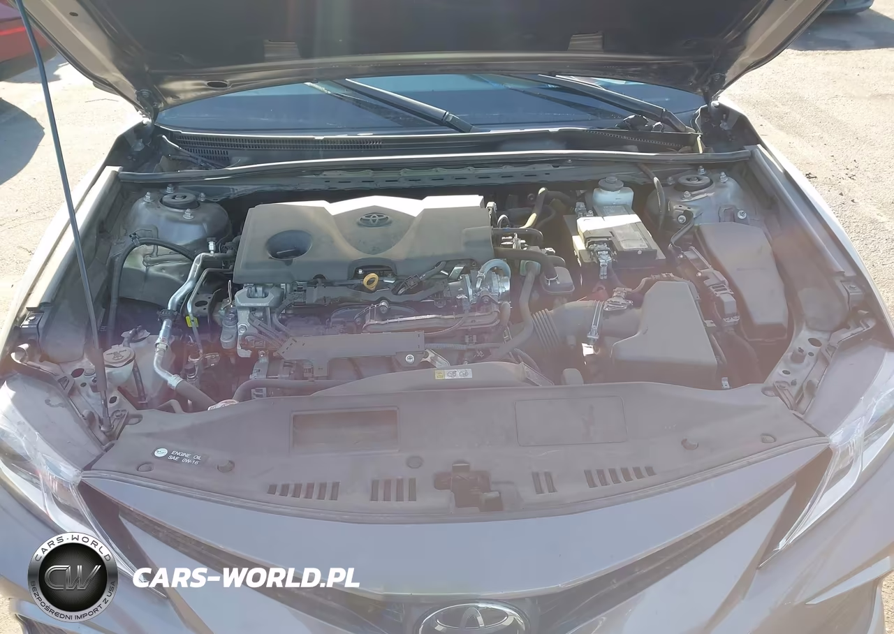 2024 Toyota Camry Le VIN:4T1C11AK7RU842786 - 10