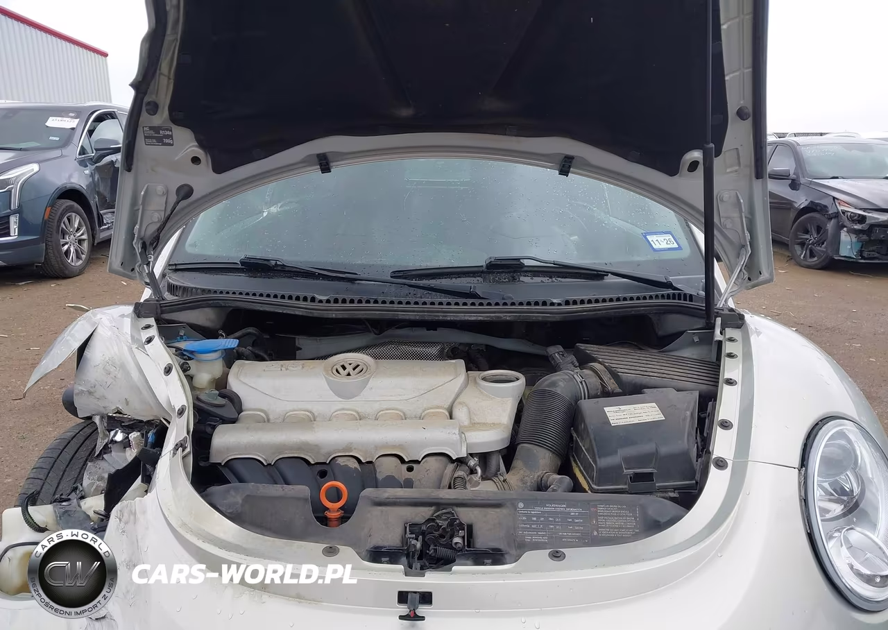 2009 Volkswagen New Beetle 2.5L Blush Edition VIN:3VWSF31Y49M410580 - 10