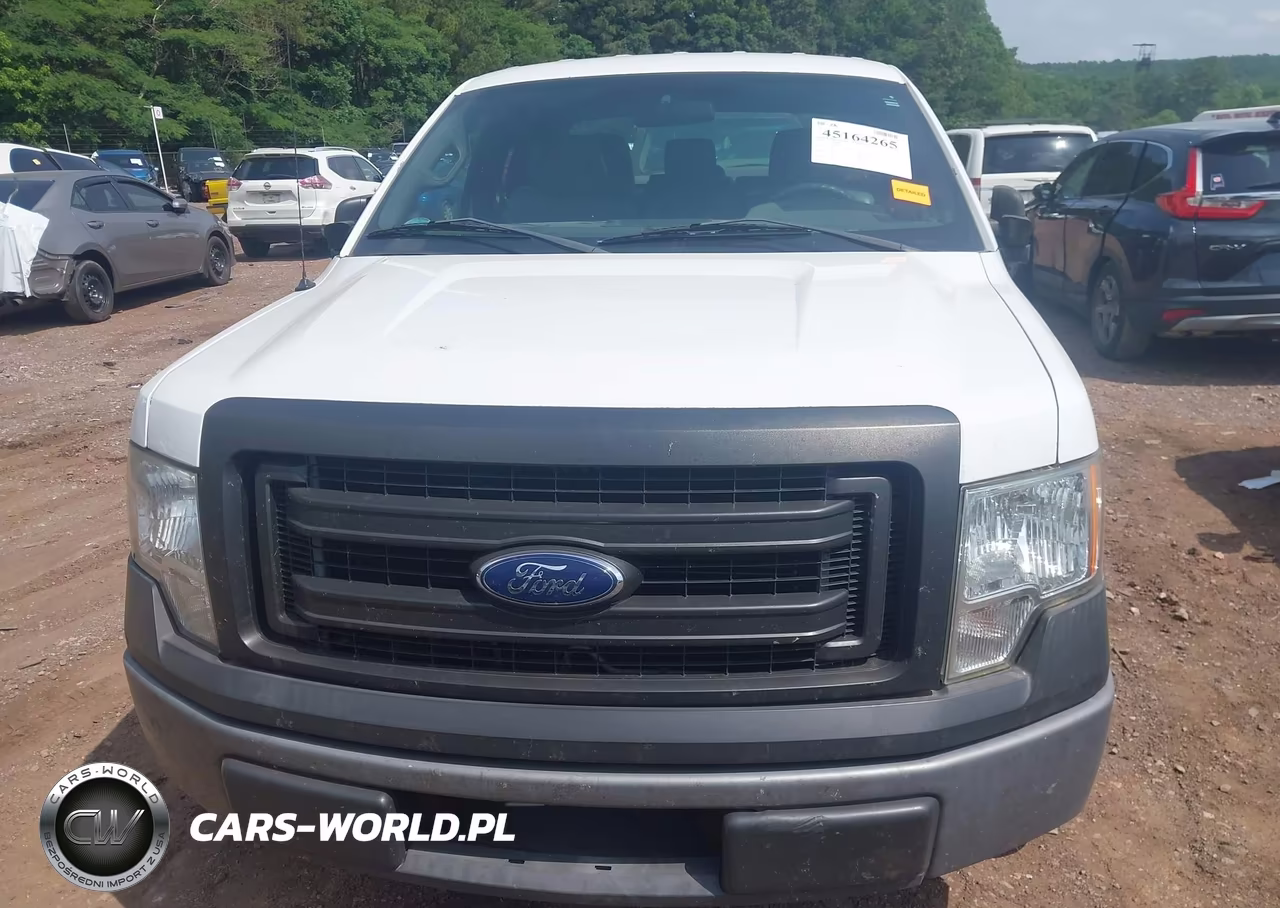 2013 Ford F-150 Xl VIN:1FTFX1CF1DFB84329 - 12