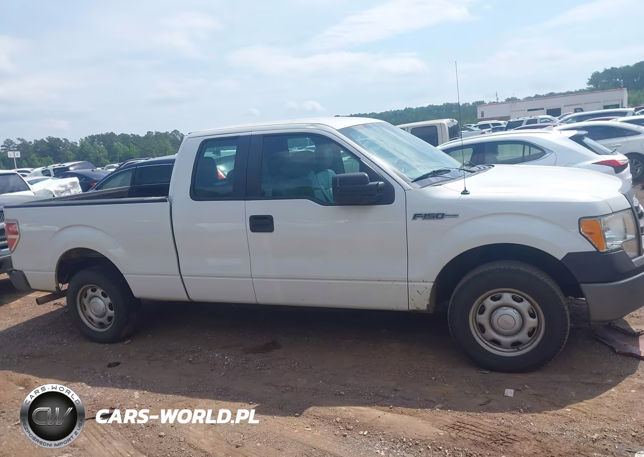 2013 Ford F-150 Xl VIN:1FTFX1CF1DFB84329 - 13