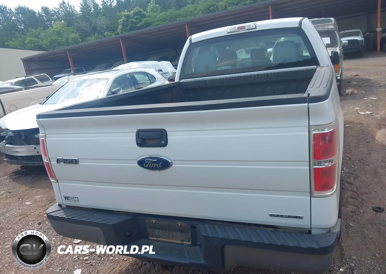 2013 Ford F-150 Xl VIN:1FTFX1CF1DFB84329 - 16