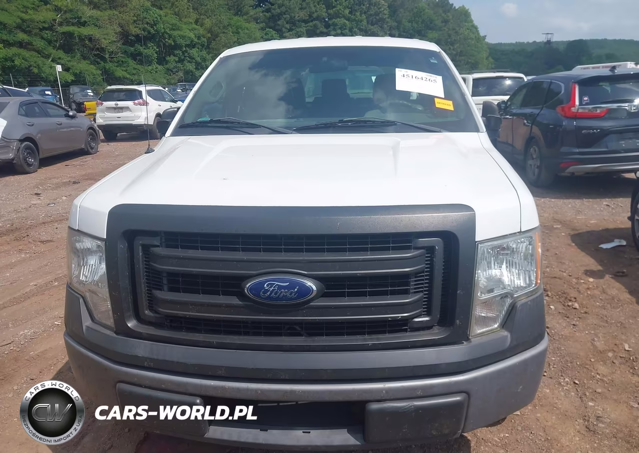 2013 Ford F-150 Xl VIN:1FTFX1CF1DFB84329 - 6