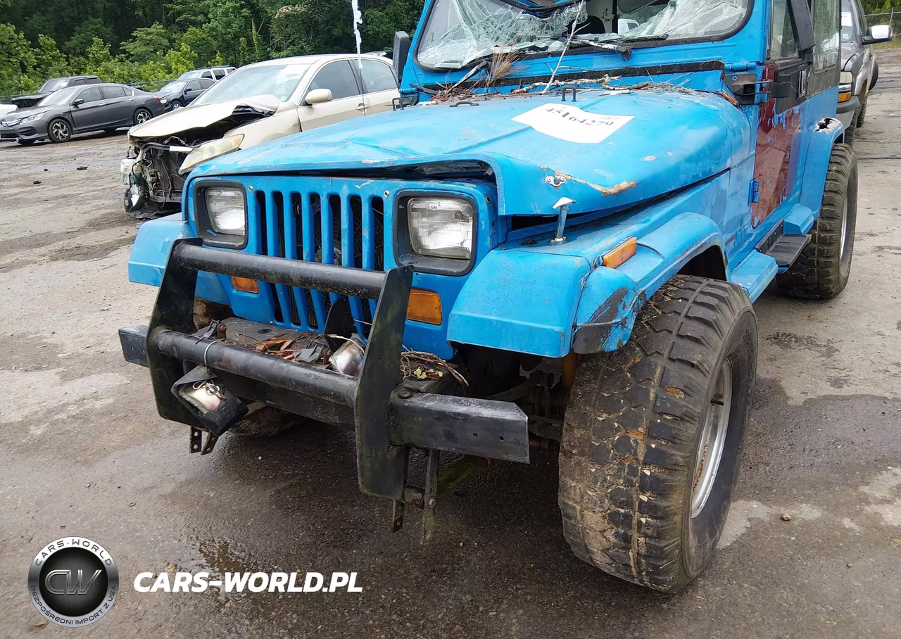 1990 Jeep Wrangler - Yj Islander VIN:2J4FY39T9LJ547935 - 6
