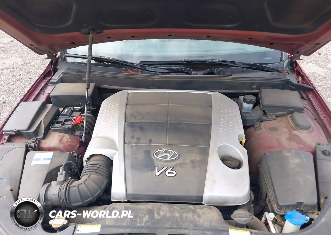 2011 Hyundai Genesis 3.8 VIN:KMHGC4DE5BU126574 - 10