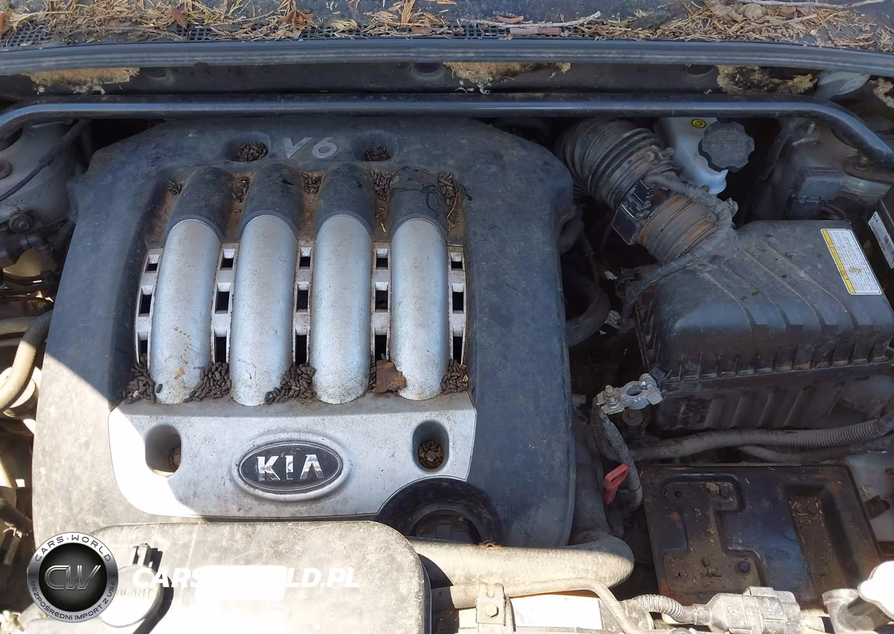2005 Kia Sportage Ex V6-Lx V6 VIN:KNDJE723057098189 - 10