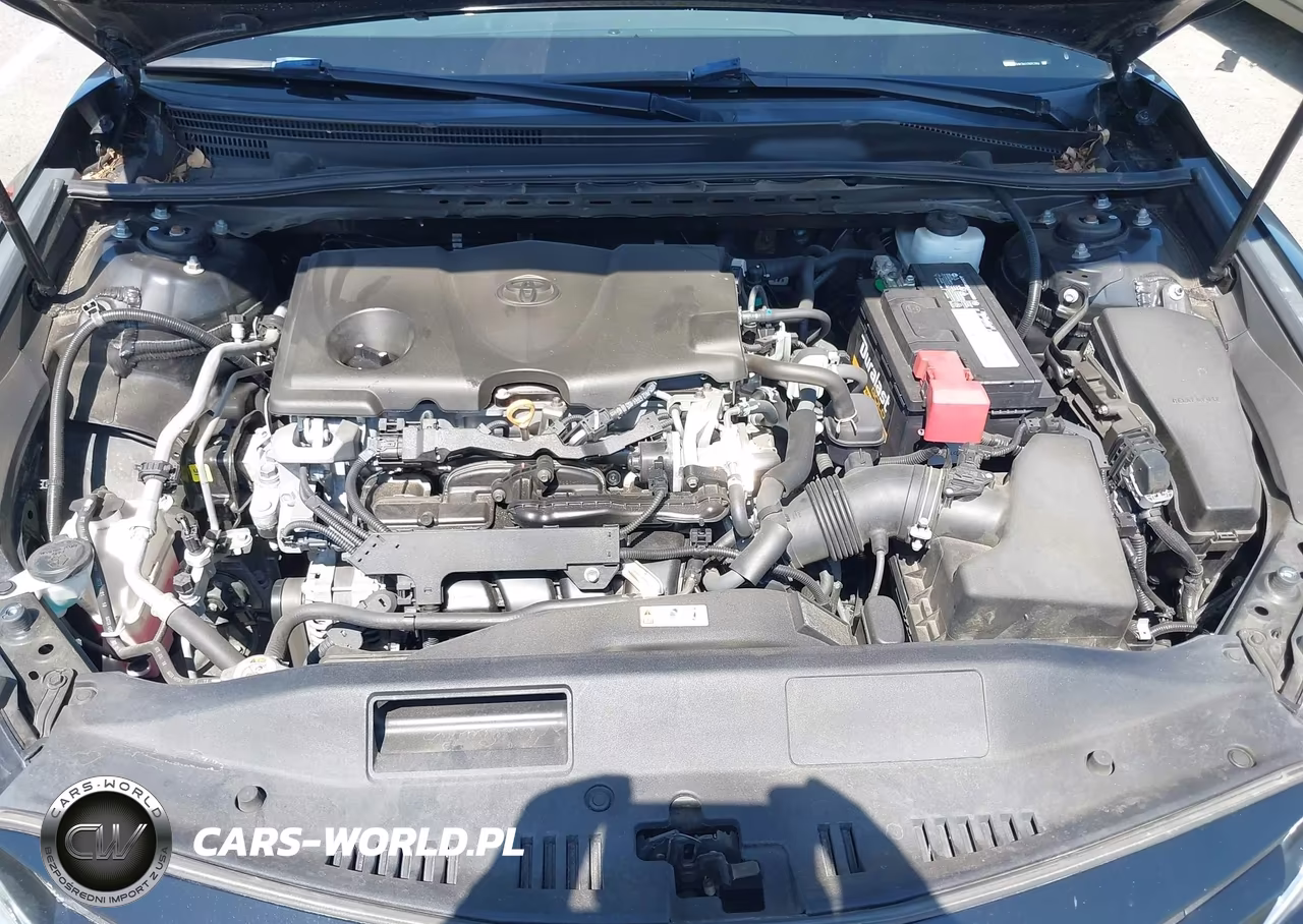 2019 Toyota Camry Le VIN:4T1B11HK2KU265284 - 10