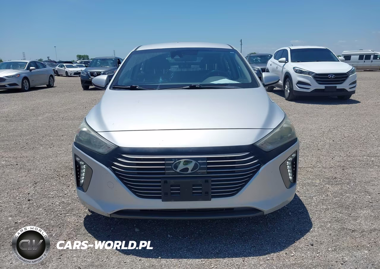 2019 Hyundai Ioniq Hybrid Sel VIN:KMHC75LC8KU106943 - 12