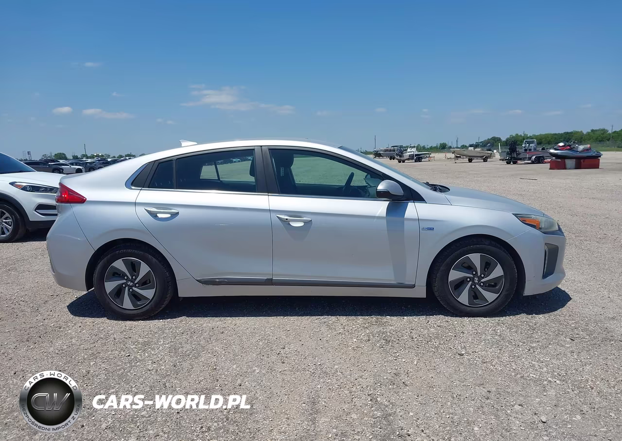 2019 Hyundai Ioniq Hybrid Sel VIN:KMHC75LC8KU106943 - 13