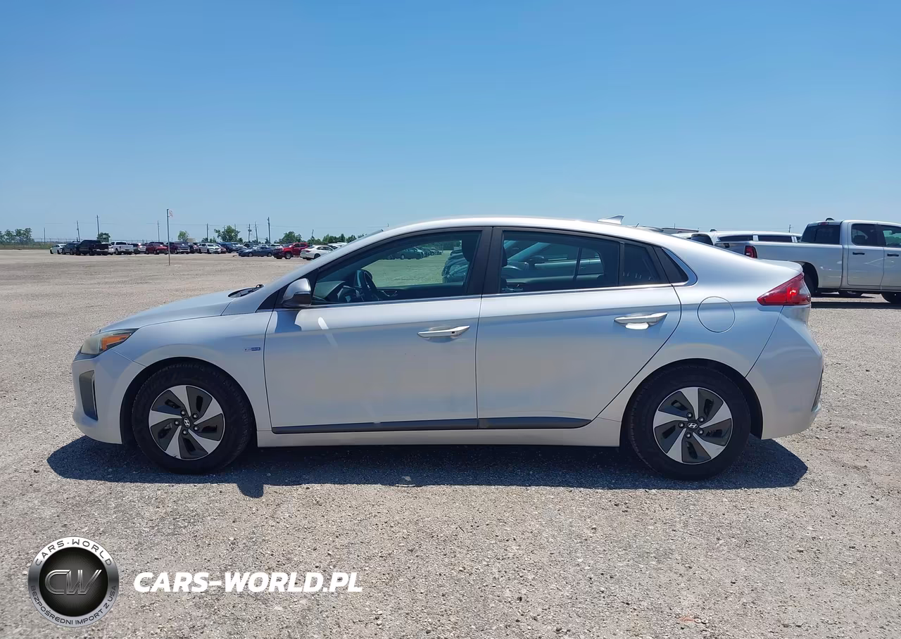 2019 Hyundai Ioniq Hybrid Sel VIN:KMHC75LC8KU106943 - 14