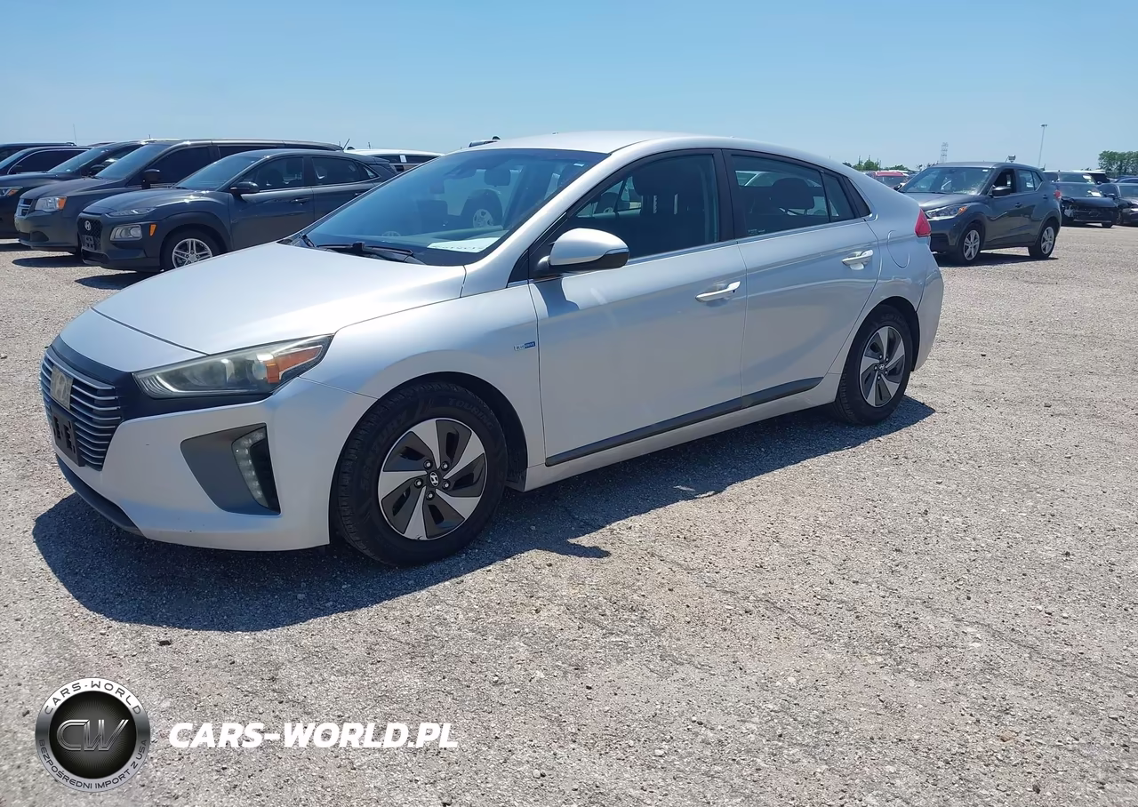 2019 Hyundai Ioniq Hybrid Sel VIN:KMHC75LC8KU106943 - 2