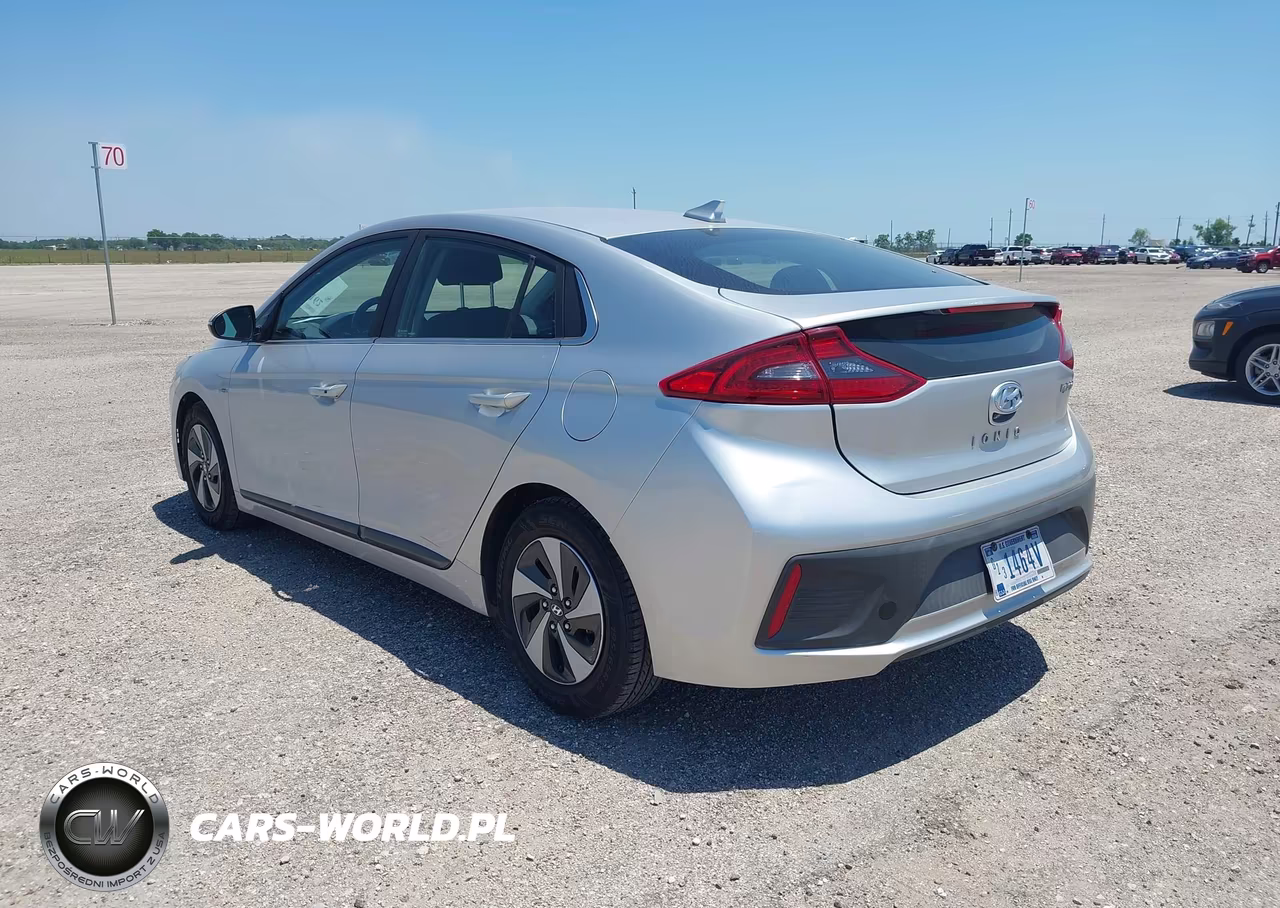 2019 Hyundai Ioniq Hybrid Sel VIN:KMHC75LC8KU106943 - 3