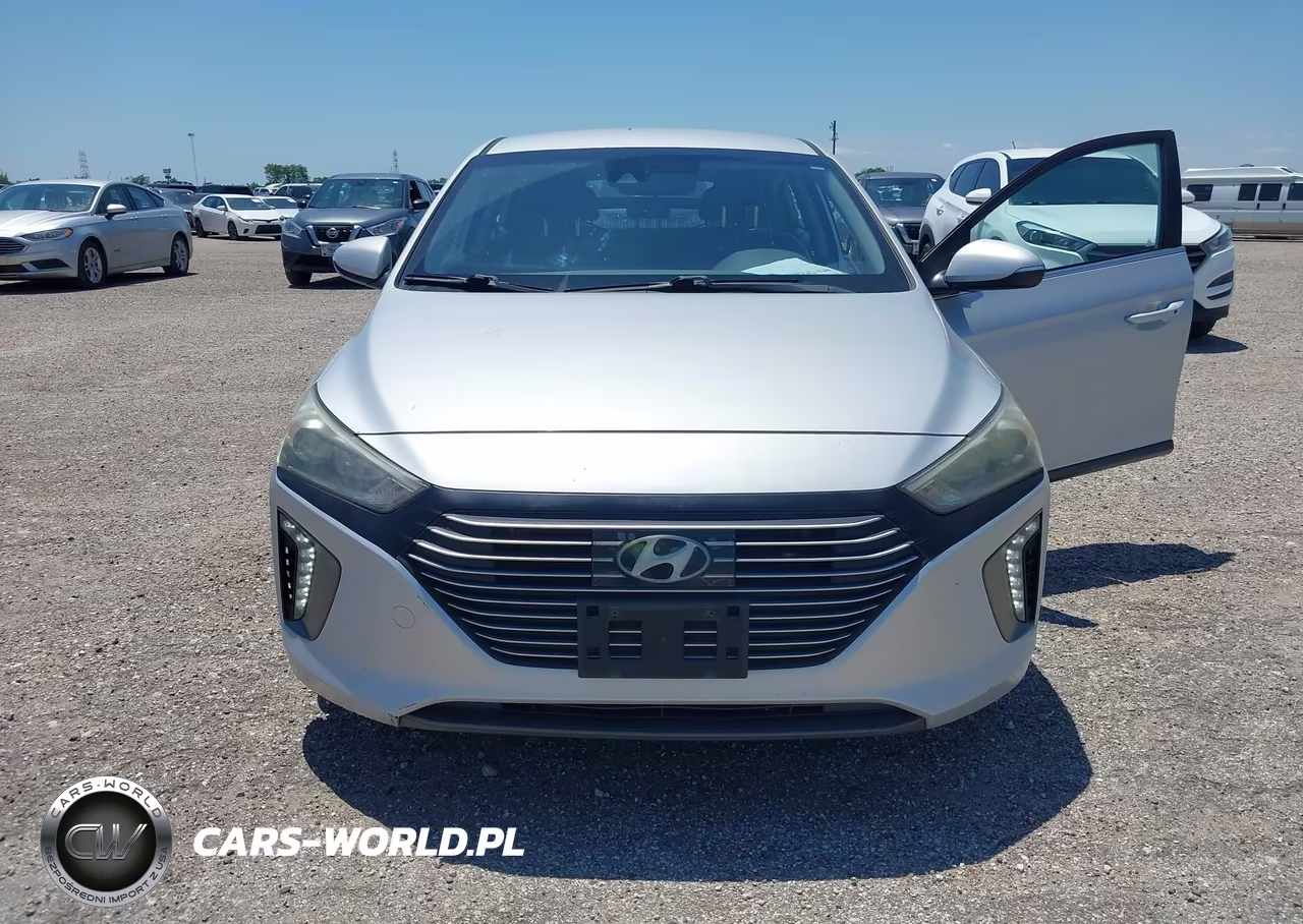 2019 Hyundai Ioniq Hybrid Sel VIN:KMHC75LC8KU106943 - 6