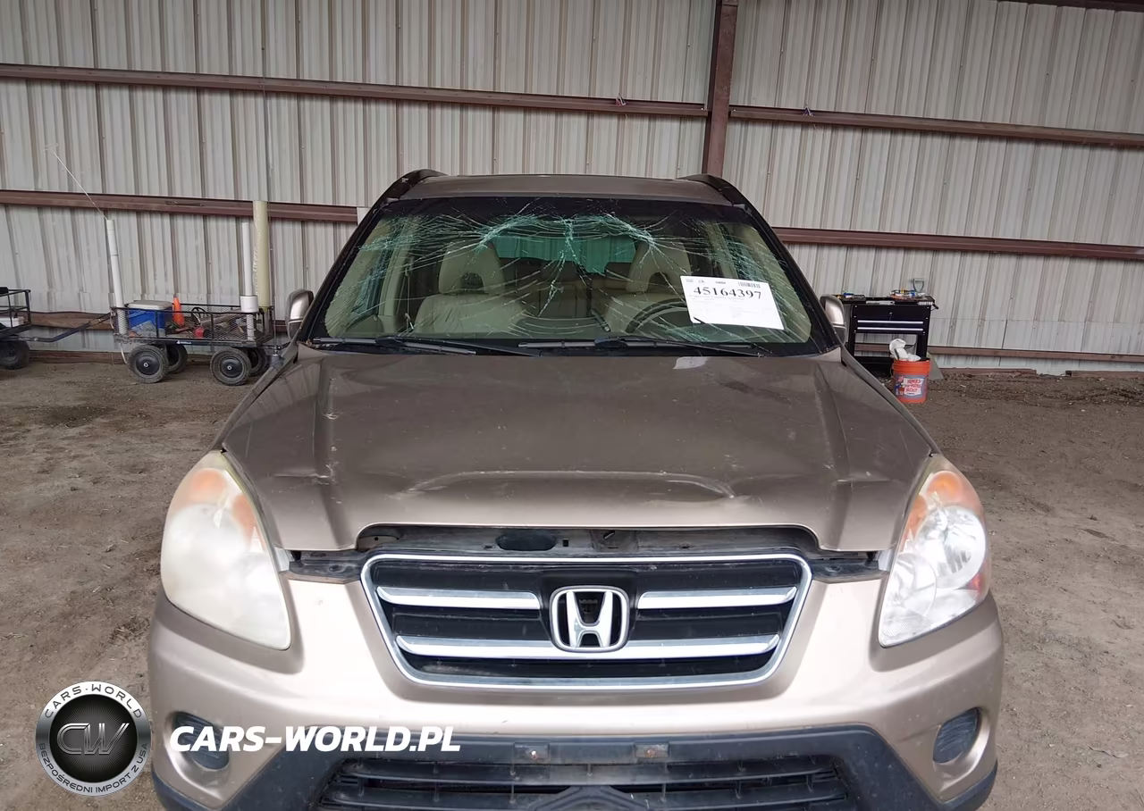 2006 Honda Cr-V Se VIN:SHSRD78976U442381 - 6