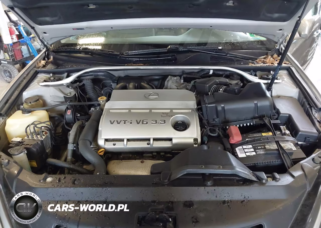 2004 Lexus Es 330 VIN:JTHBA30GX45047175 - 10