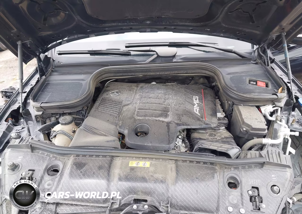 2024 Mercedes-Benz Amg Gle 53 Coupe 4Matic+ VIN:4JGFD6BB8RB088082 - 10